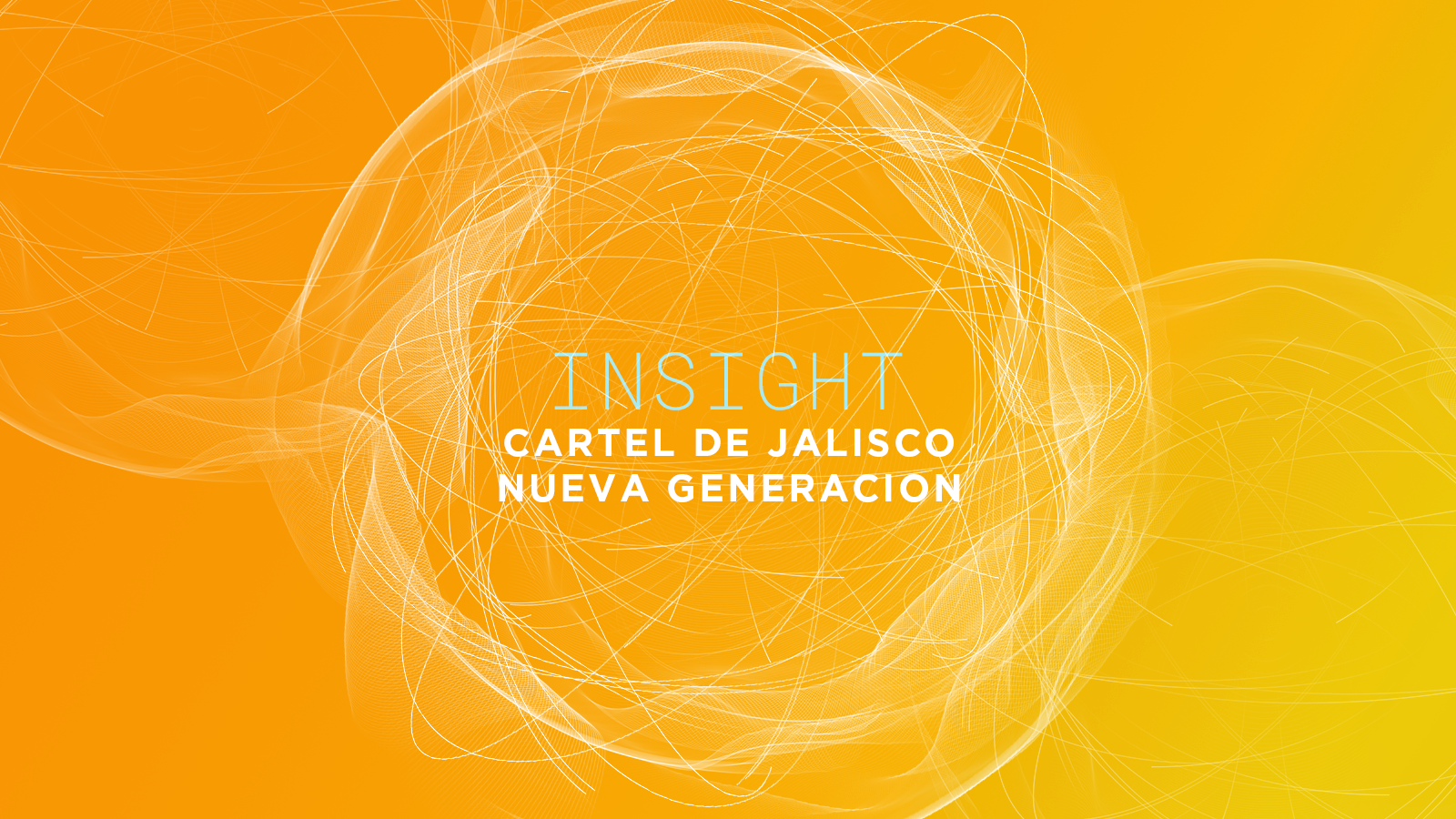 Insight cartel Trucking