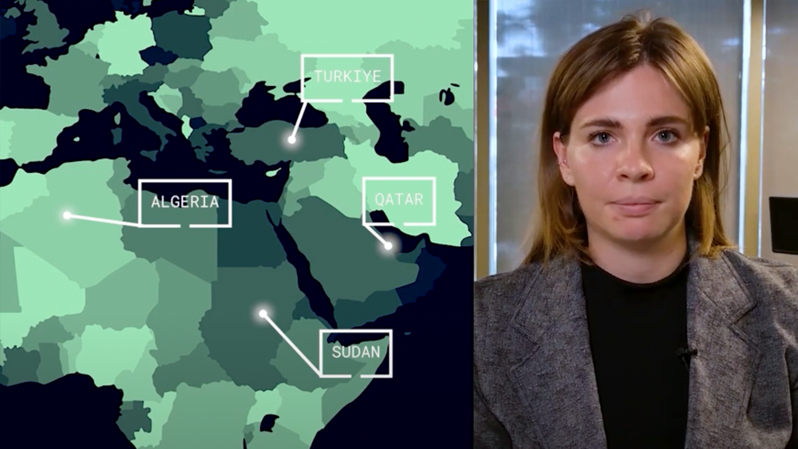 Snapshot hamas investment cover hero